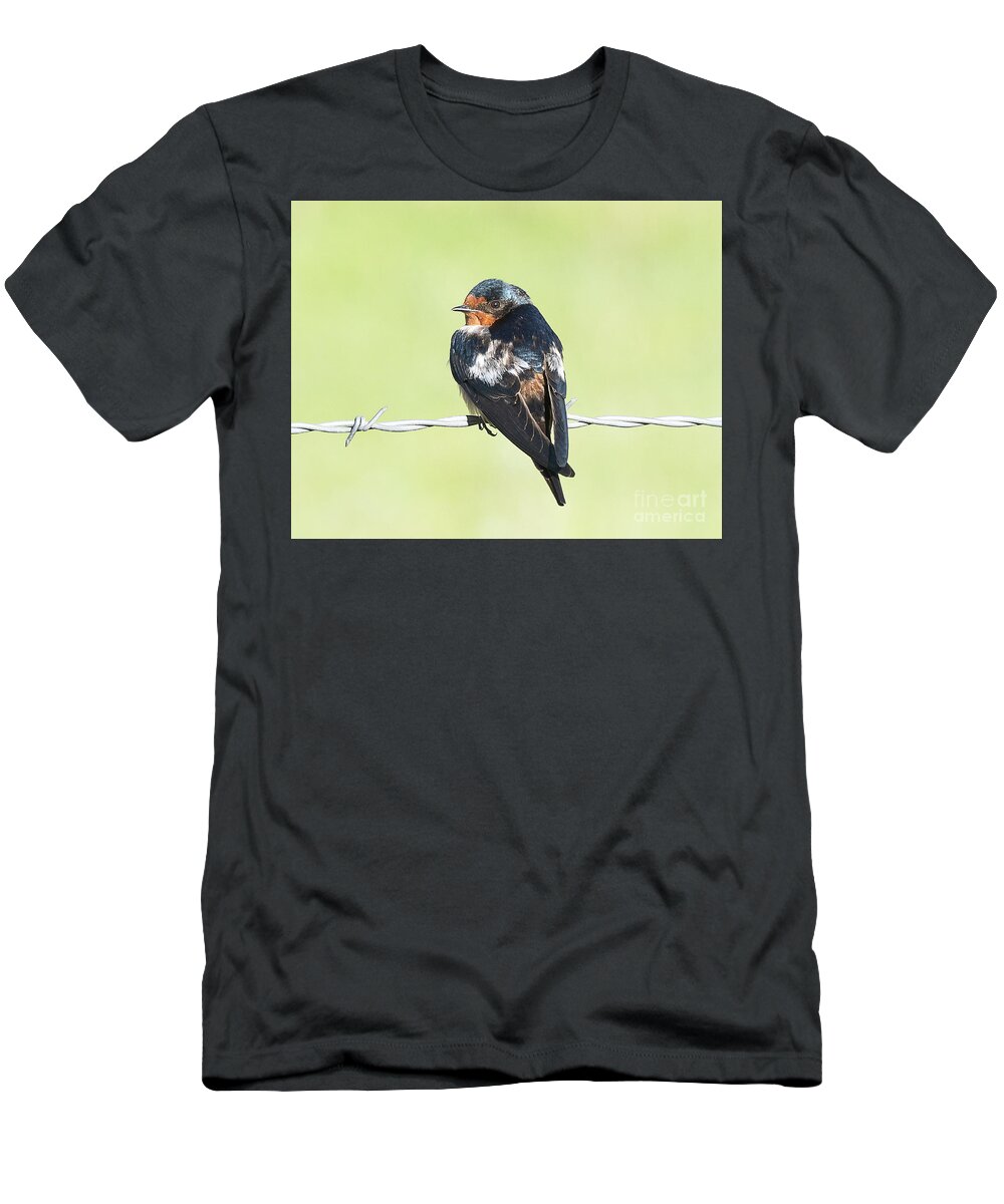 Bird T-Shirt featuring the photograph Cave Swallow by Dennis Hammer