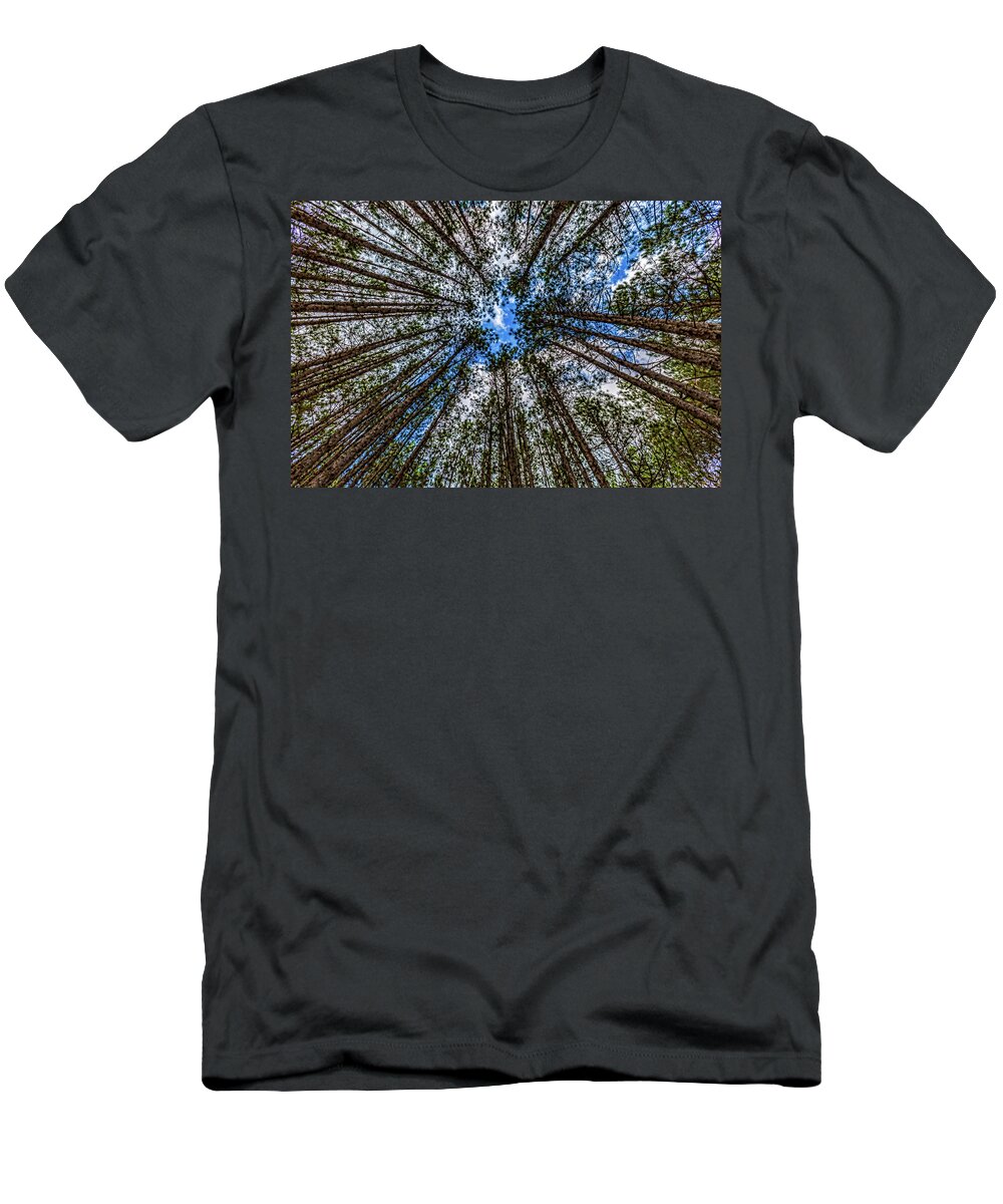 Higgins Lake T-Shirt featuring the photograph CCC Pines Lookup by Joe Holley