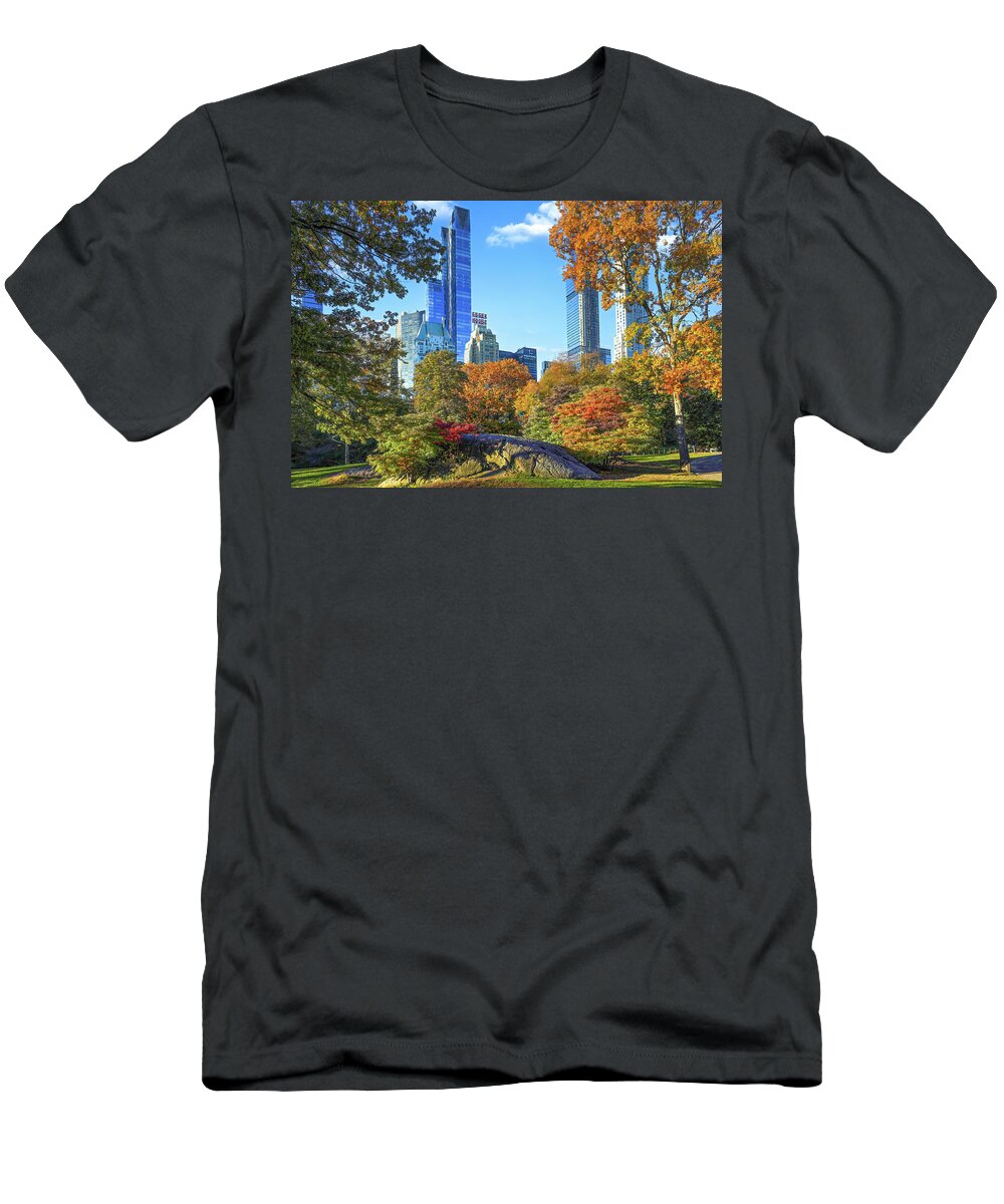New York City Nyc Ny Art Photo Prints Posters Decorative Wall Art Picture Landmarks Contemporary Central Park Love Bridge Plaza Hotel Fall Pond T-Shirt featuring the photograph Central Park South Skyline Essex House Fall New York City Art Photo Print Poster Wall Decor by Lily Malor