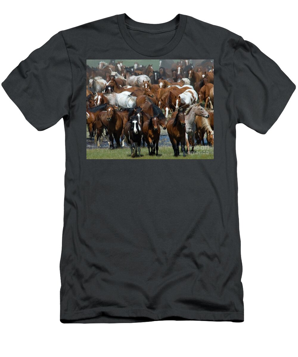 Horses T-Shirt featuring the photograph Chaos in the Herd by Jody Miller