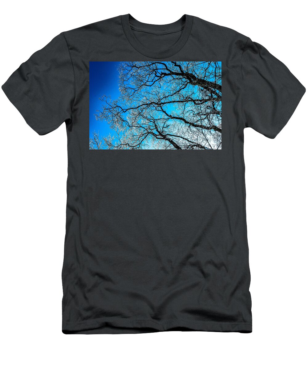 Abstract T-Shirt featuring the photograph Chaotic System Of Ice Covered Tree Branches With Blue Sky by Andreas Berthold