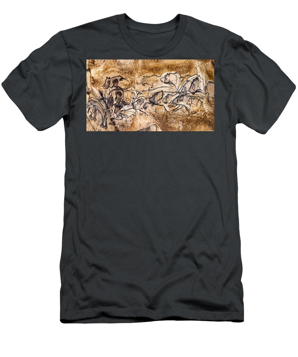 Chauvet T-Shirt featuring the photograph Chauvet Lions and Bison by Weston Westmoreland