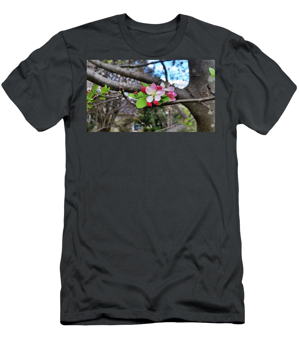 T-Shirt featuring the photograph Cherry Blossom by Heather E Harman