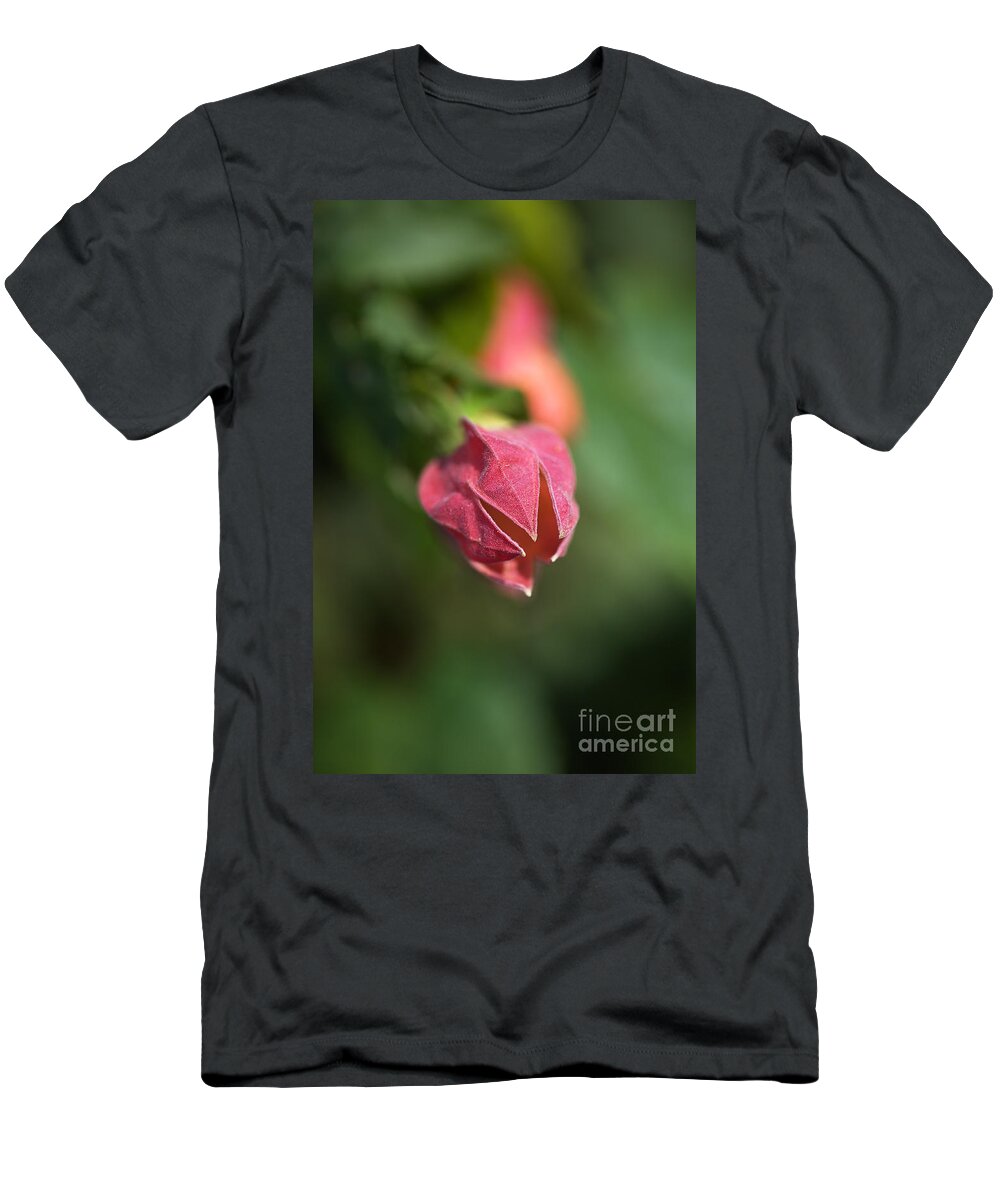 Chinese Lantern Growing T-Shirt featuring the photograph Chinese Lantern Growing by Joy Watson