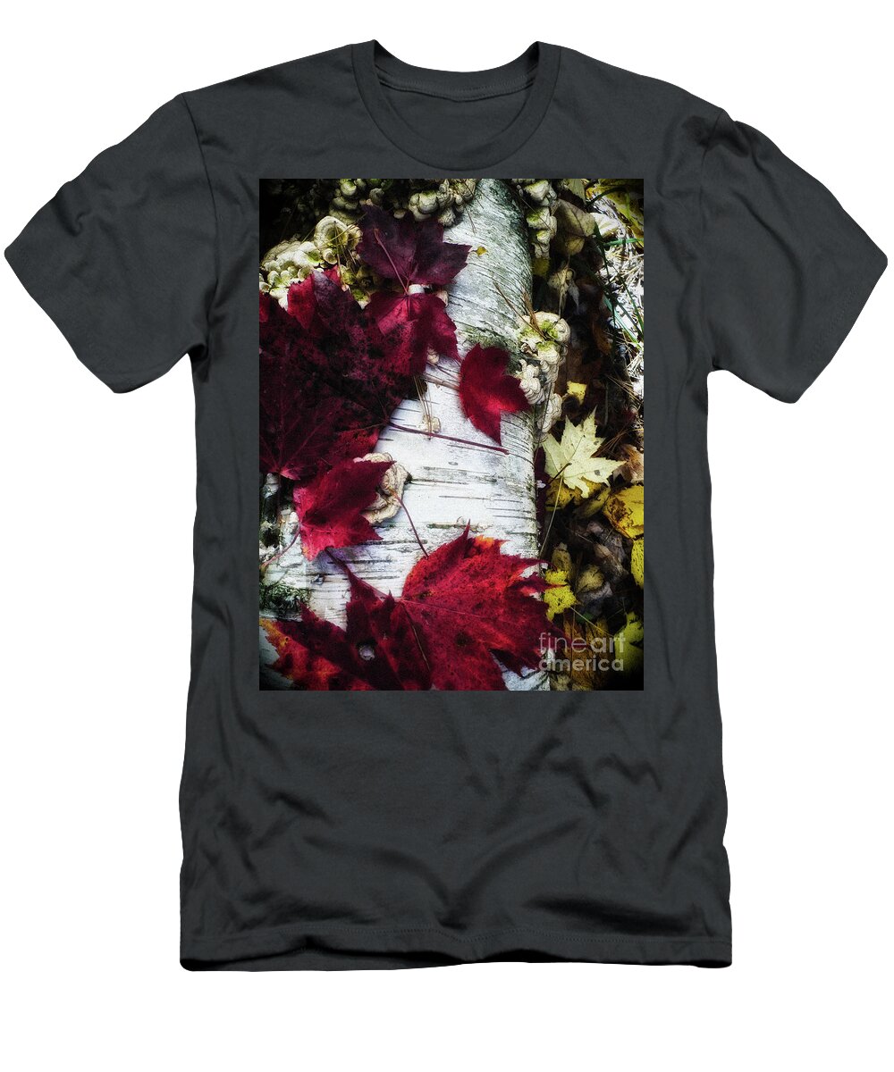Red Leaves T-Shirt featuring the photograph Christmas Spell by AnnMarie Parson-McNamara