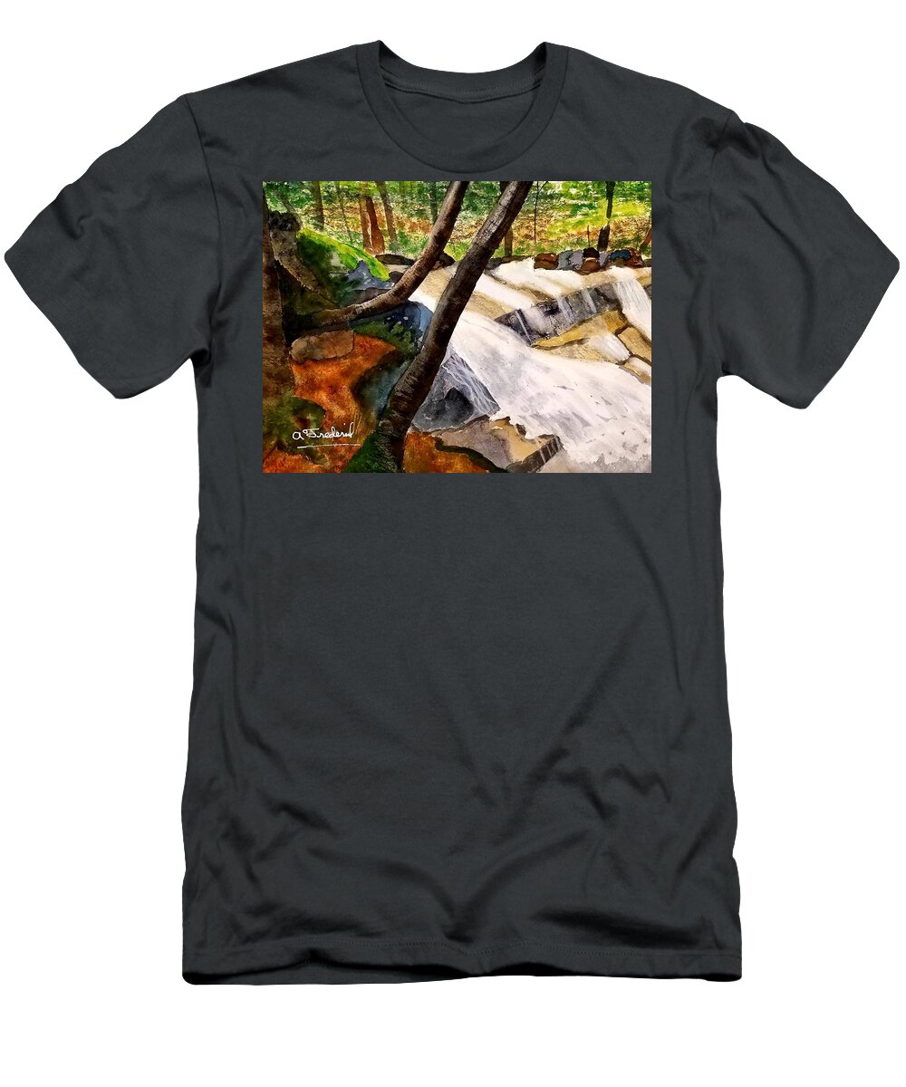 Waterfall T-Shirt featuring the painting Cindys' Waterfall by Ann Frederick