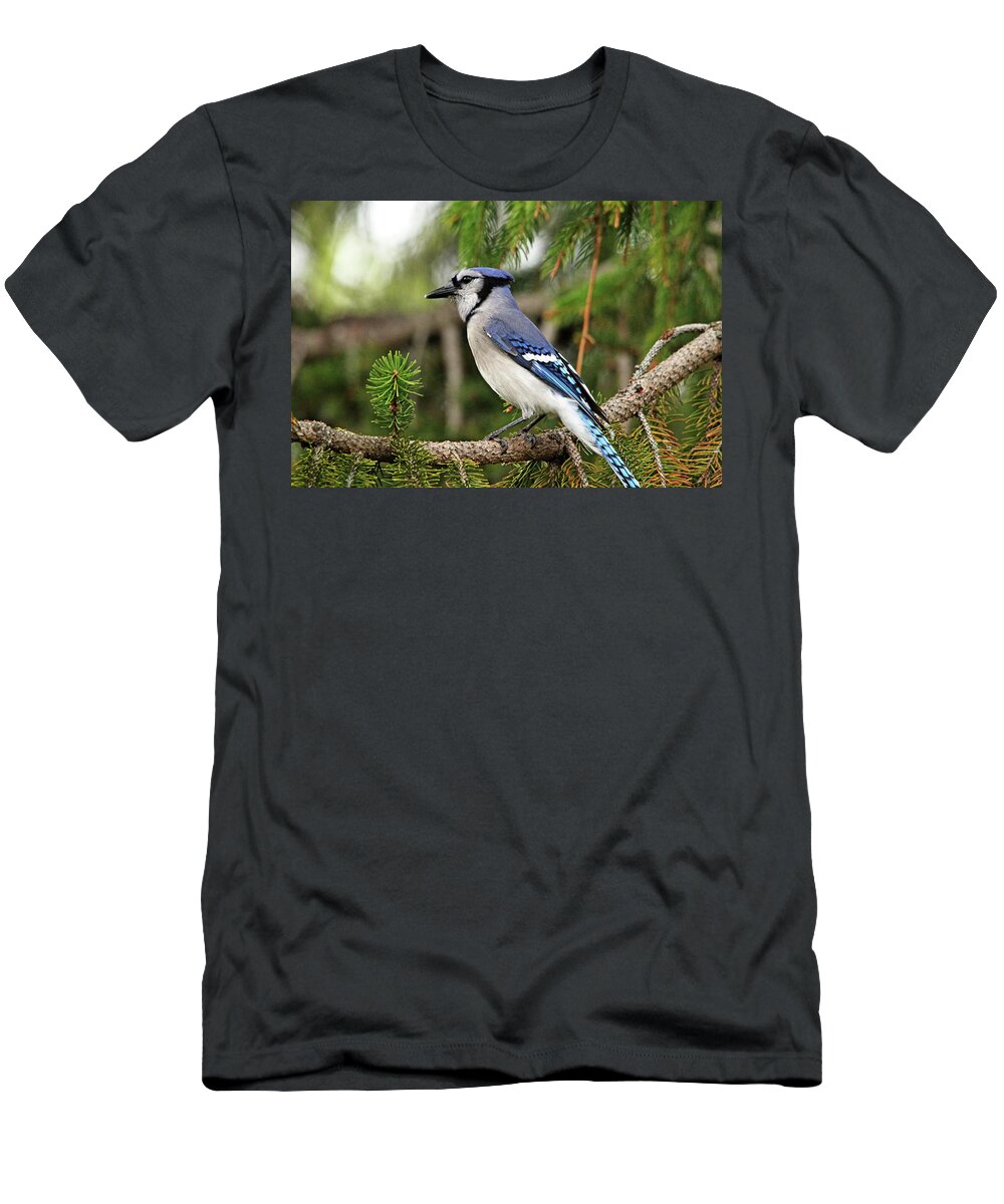 Blue Jay T-Shirt featuring the photograph Classy Blue Jay by Debbie Oppermann