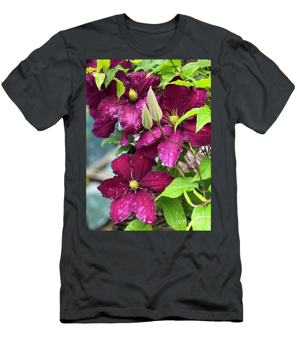 Clematis T-Shirt featuring the photograph Clematis in the Rain by Jeanette French