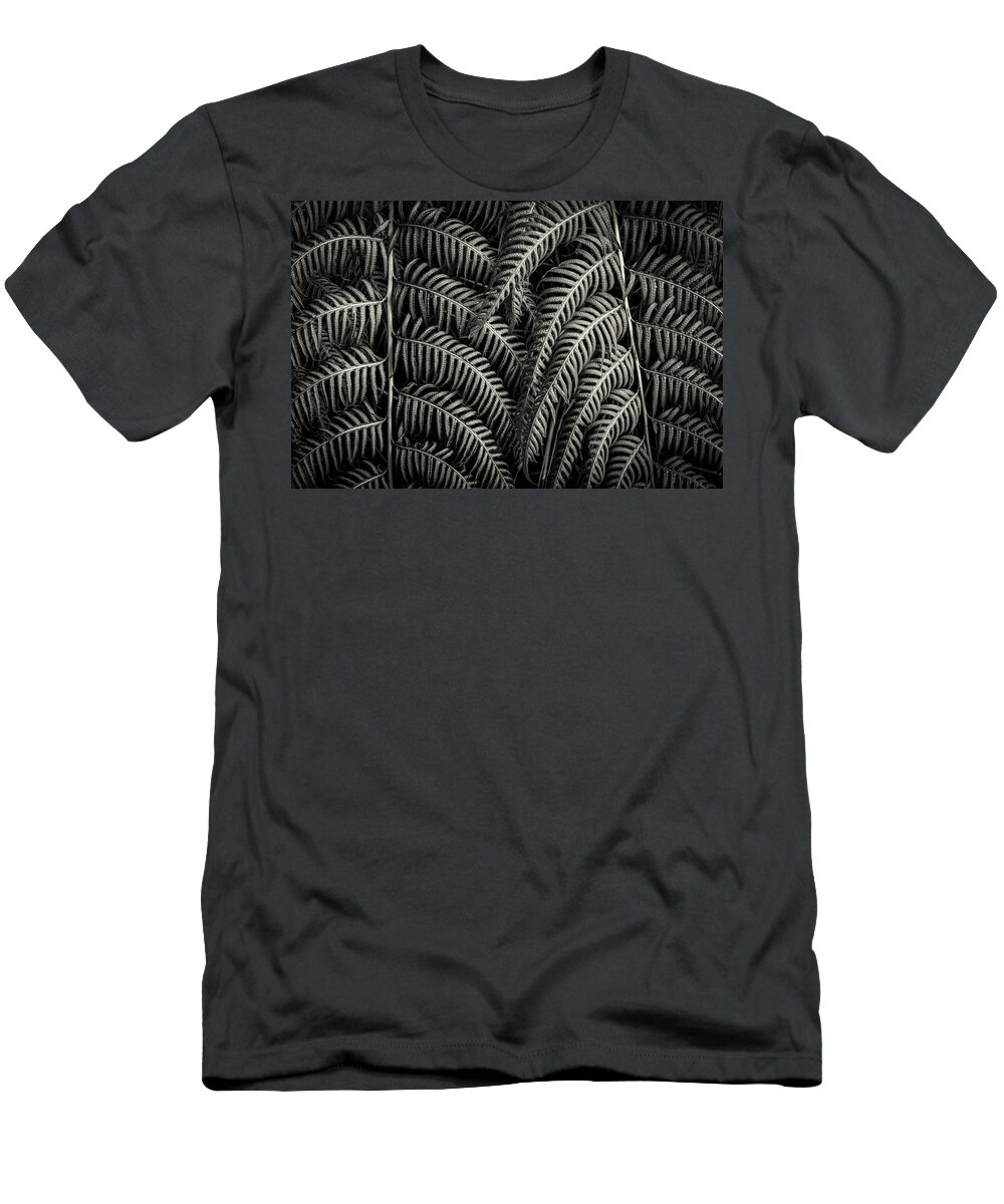 Fern Leaf T-Shirt featuring the photograph Close-up on a fern leaf by Alessandra RC