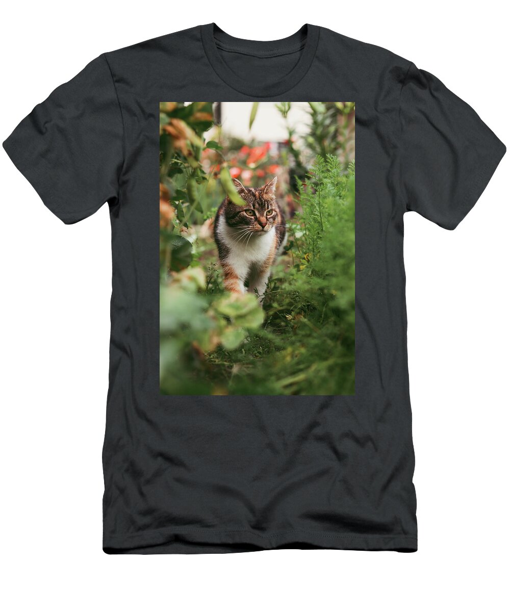 Cat T-Shirt featuring the photograph Felis catus domesticus passes through the blackberries by Vaclav Sonnek