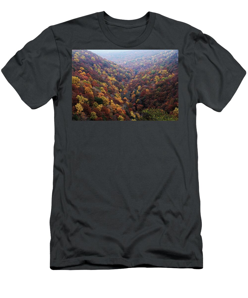 Cloudland Canyon T-Shirt featuring the photograph Cloudland Canyon, Ga. by Richard Krebs