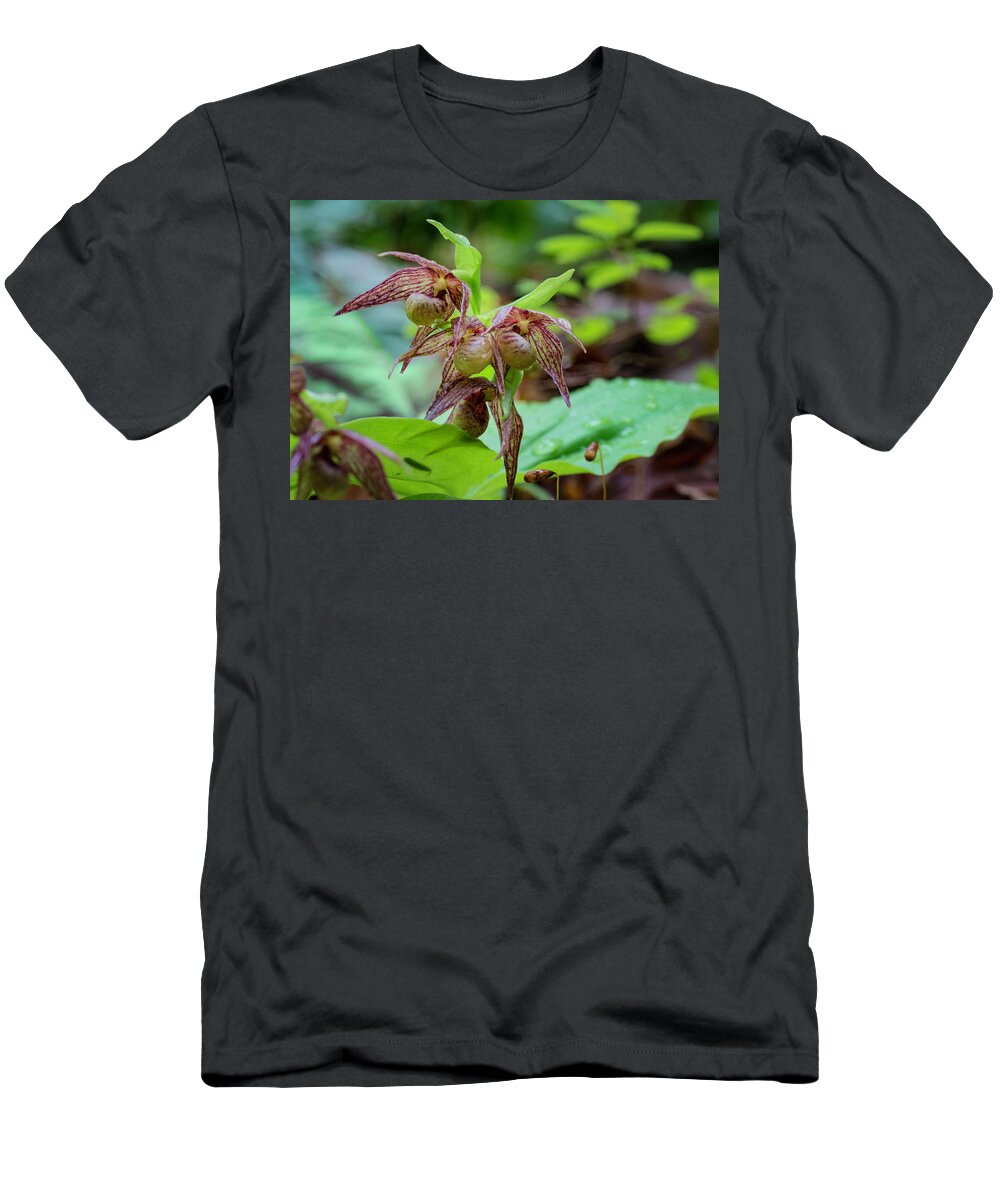 Betty Depee T-Shirt featuring the photograph Clustered Lady's-slipper by Betty Depee