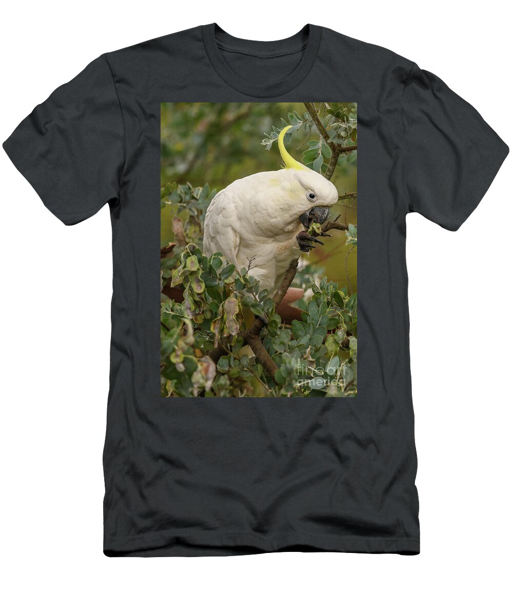 Wildlife T-Shirt featuring the photograph Cockatoo 10 by Werner Padarin