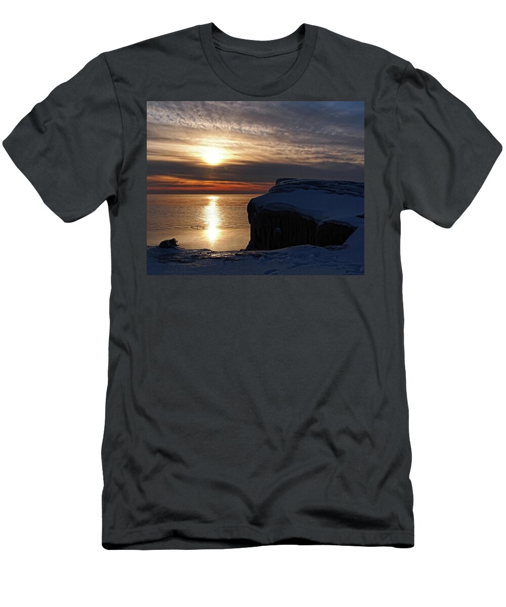 Winter T-Shirt featuring the photograph Cold Reflections by Scott Olsen