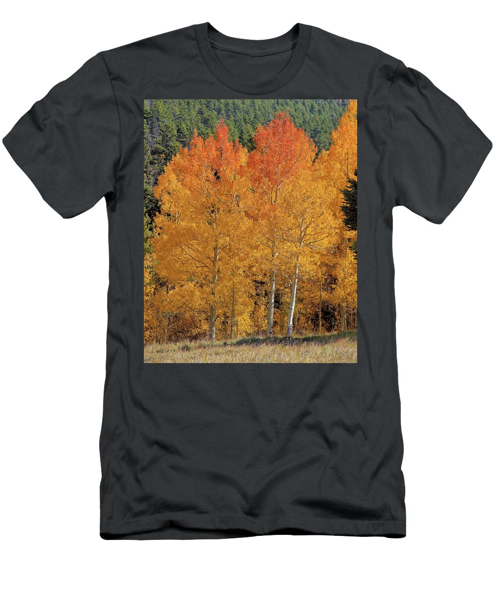 Colorado T-Shirt featuring the photograph Colorado Fall Colors by Bob Falcone