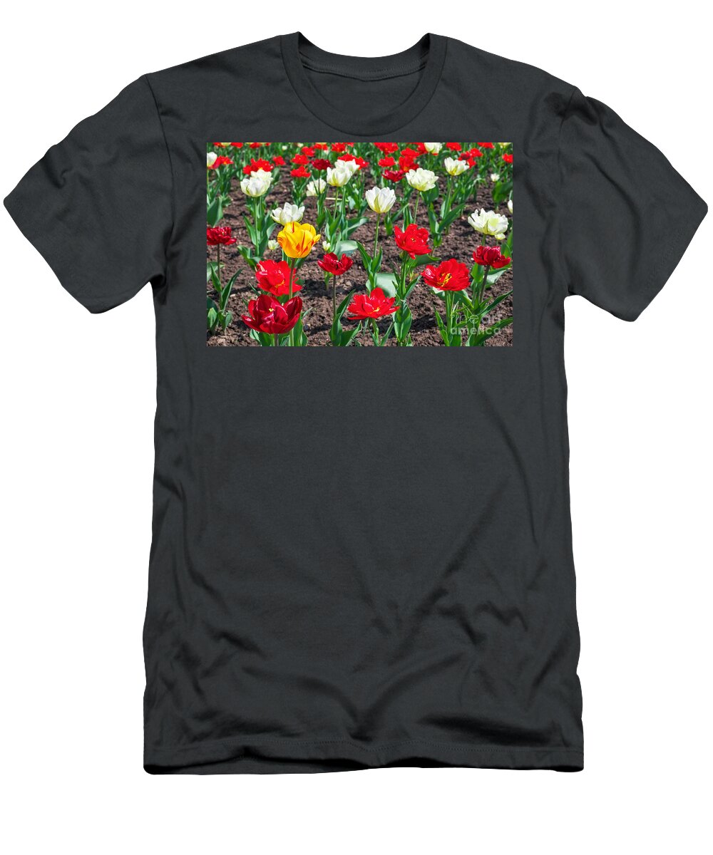8 March T-Shirt featuring the photograph Colorful flowers in springtime. Tulips field Background by Boon Mee
