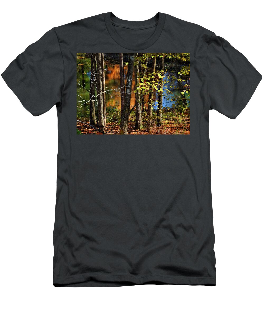 Autumn T-Shirt featuring the photograph Colors of Autumn by Nancy Griswold