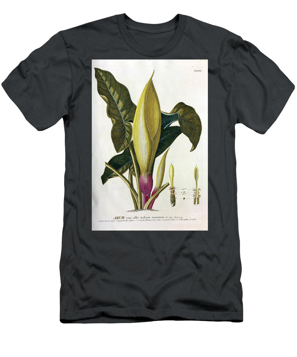 Flowering T-Shirt featuring the photograph Coloured Copperplate engraving n11 by Botany