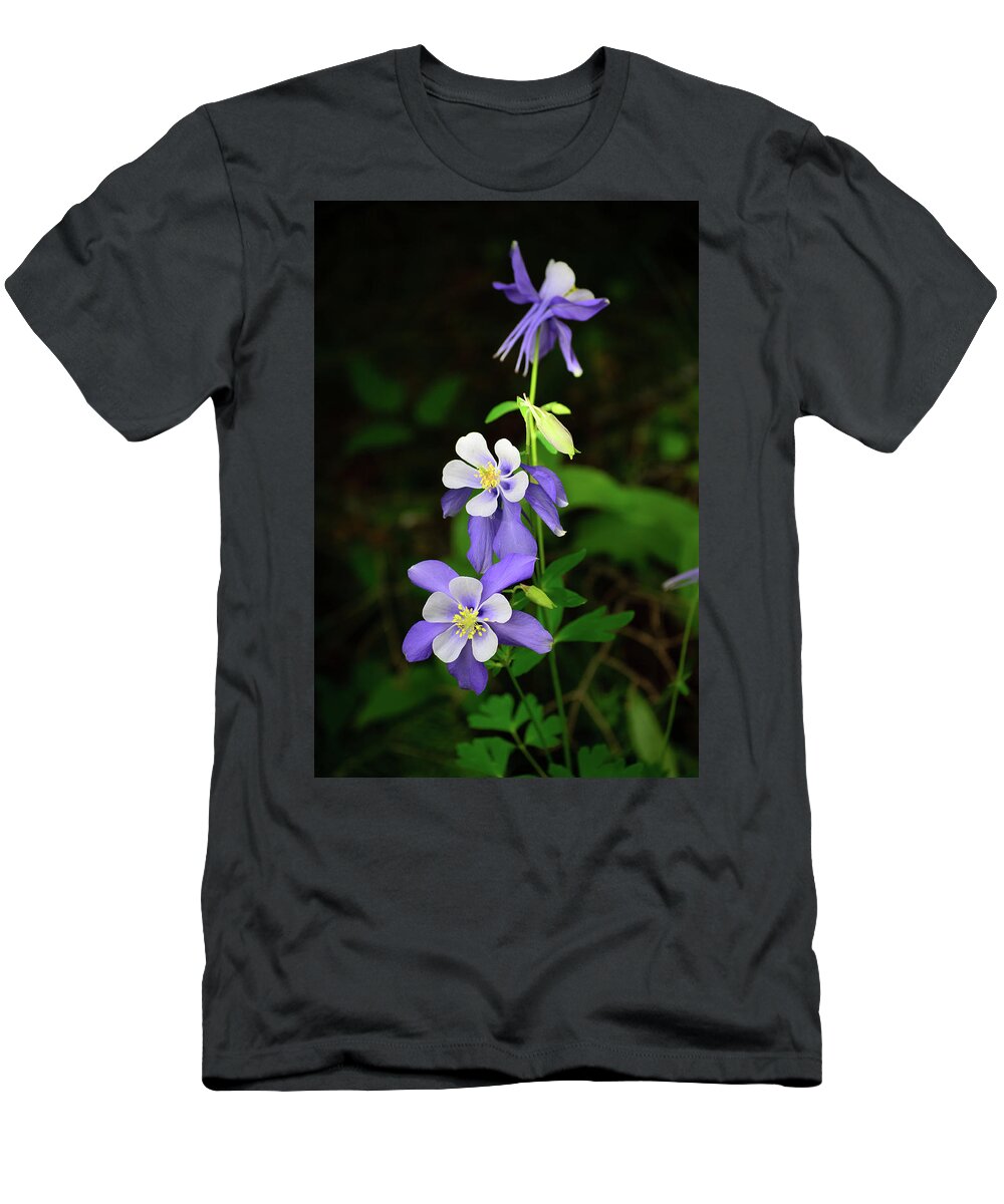 Flowers T-Shirt featuring the photograph Columbine Trio by Tara Krauss