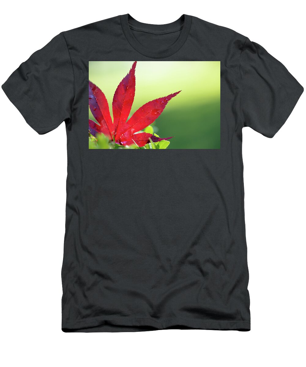 Macro T-Shirt featuring the photograph Complementary by Laura Macky