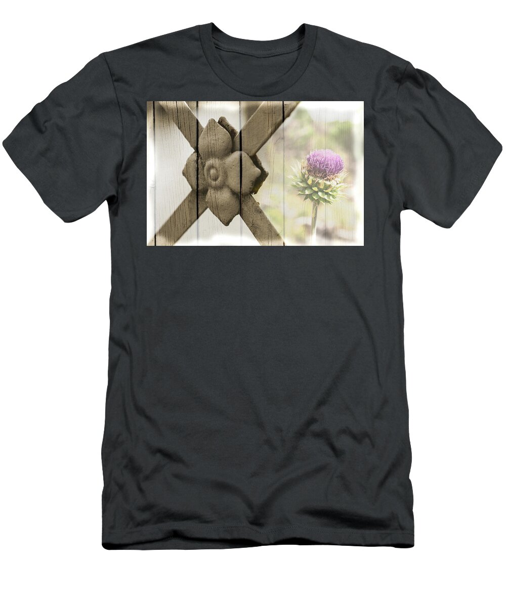 Beauty T-Shirt featuring the photograph Composite image of wroght iron and thisile on wood background. by Kyle Lee
