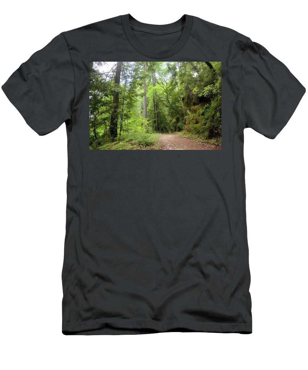 Concrete Pipe Fireroad T-Shirt featuring the photograph Concrete Pipe Fireroad by John Parulis