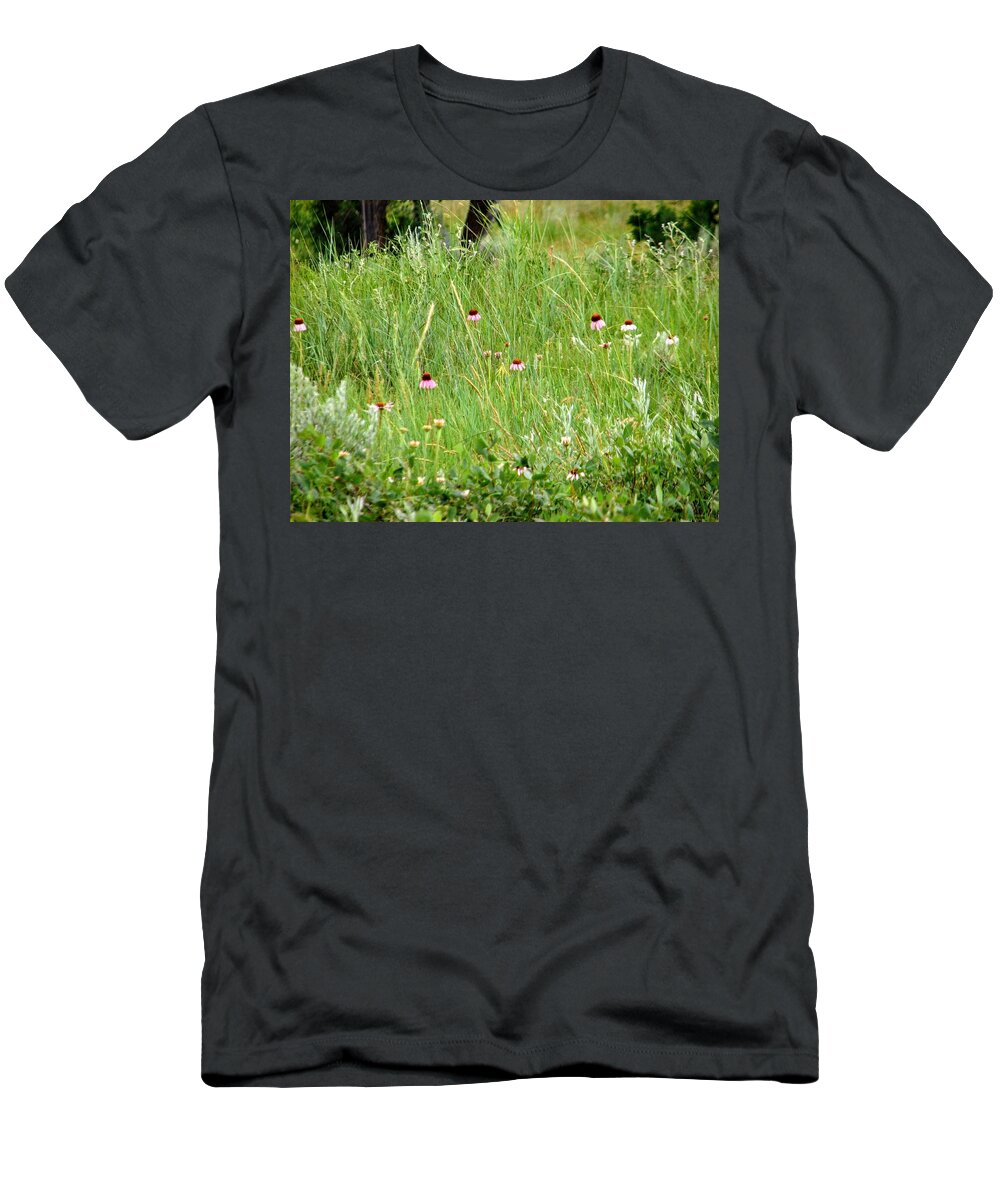 Cone Flowers T-Shirt featuring the photograph Cone Flowers by Amanda R Wright