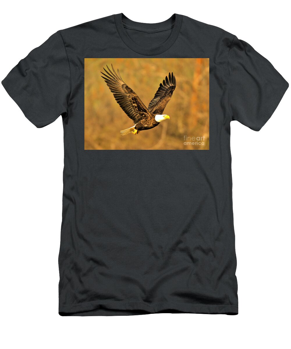 Conowingo T-Shirt featuring the photograph Conowingo Eagle In Golden Light by Adam Jewell