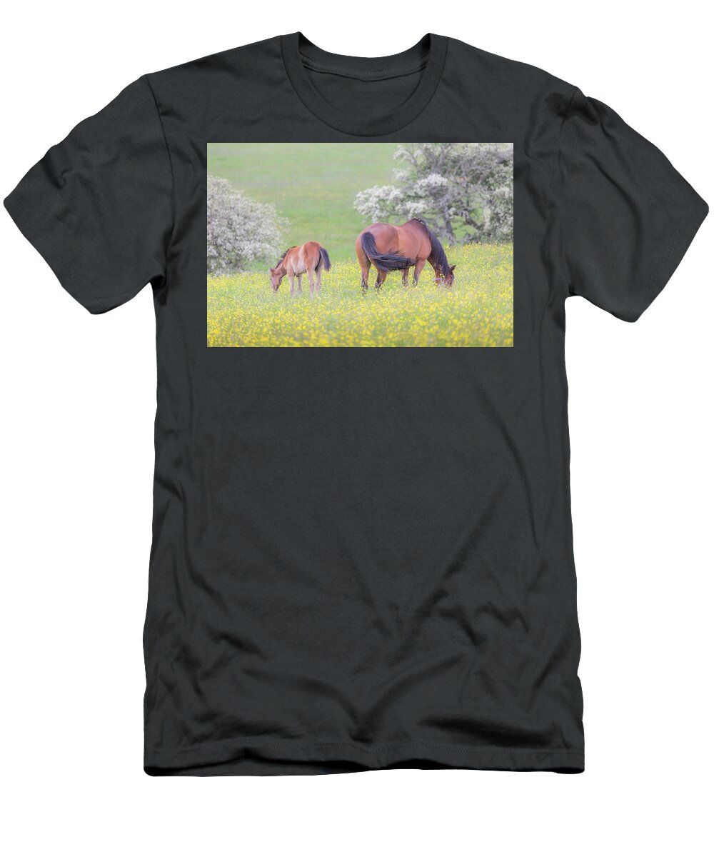 Horses T-Shirt featuring the photograph Contentment - Mare and Foal in a meadow by Anita Nicholson