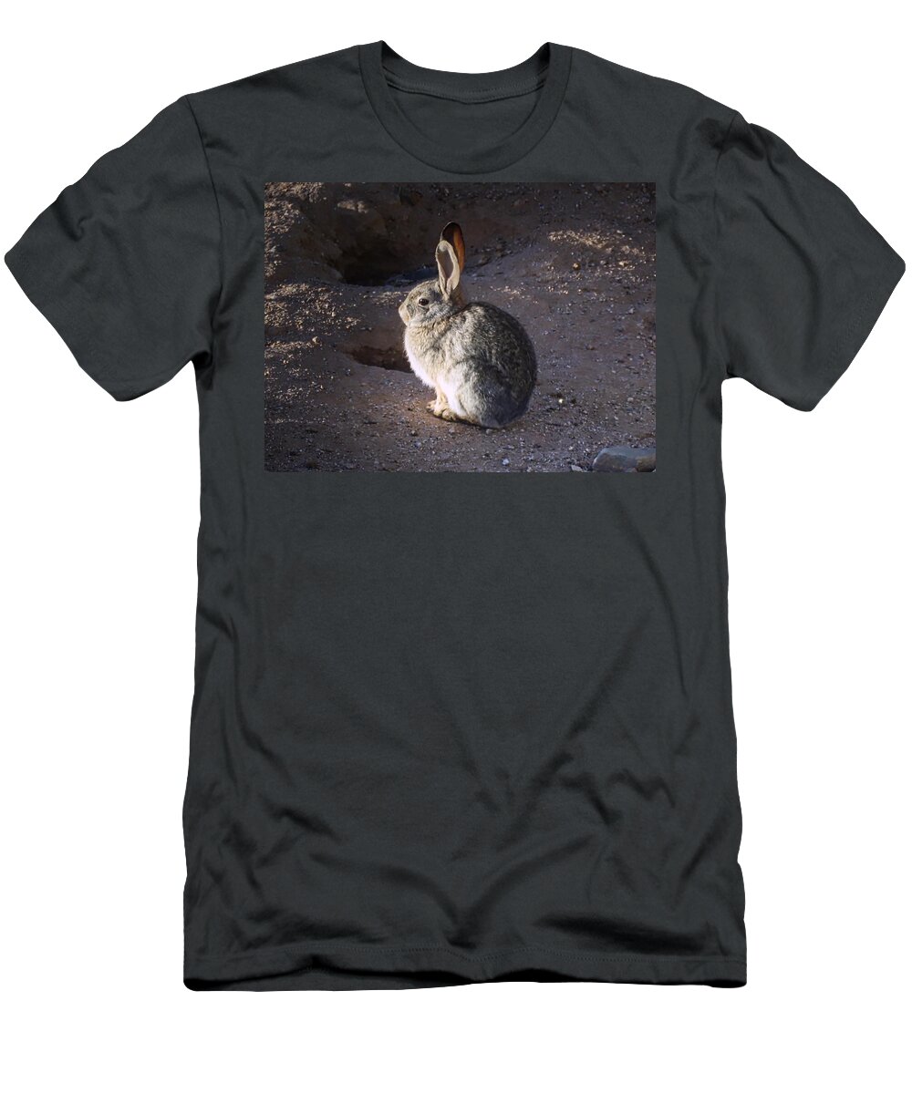 Arizona T-Shirt featuring the photograph Cool Bunny by Judy Kennedy