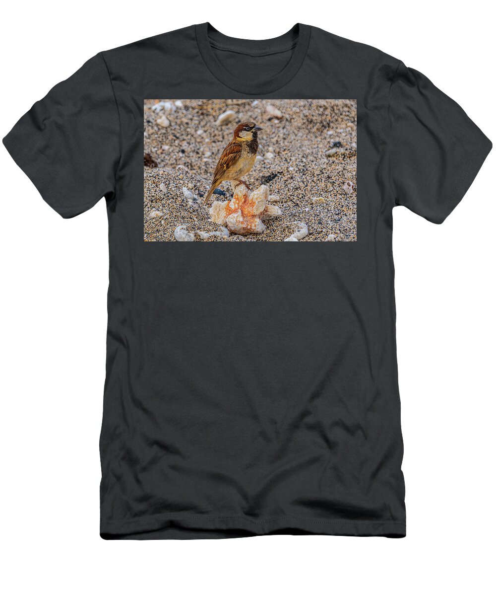 Hawaii T-Shirt featuring the photograph Coral Rest Area by John Bauer