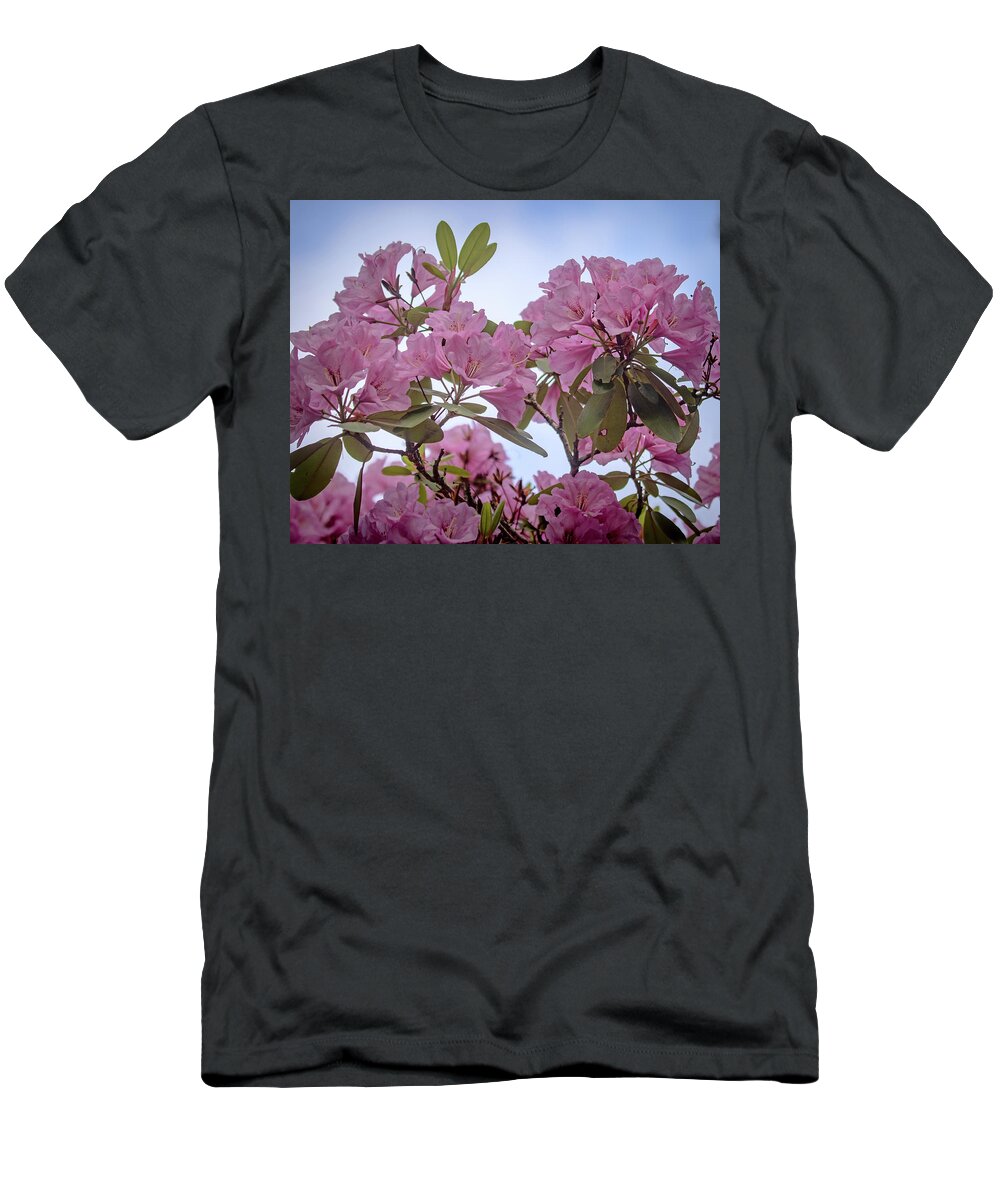 Rhododendron T-Shirt featuring the photograph Cornell Botanic Gardens #6 by Mindy Musick King