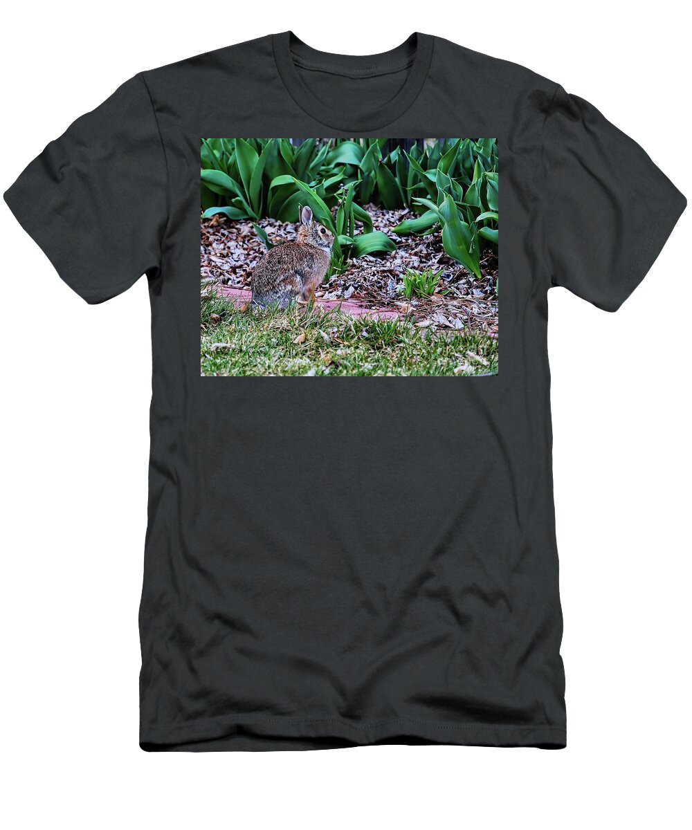 Jon Burch T-Shirt featuring the photograph Cottentail by Jon Burch Photography