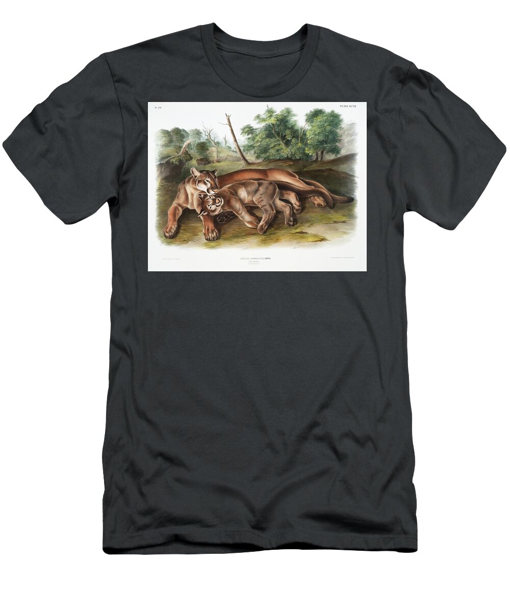America T-Shirt featuring the mixed media Cougar, Cougars. John Audubon by World Art Collective