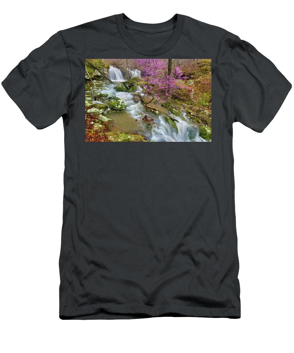 Spring T-Shirt featuring the photograph Coward's Hollow Shut-ins II by Robert Charity