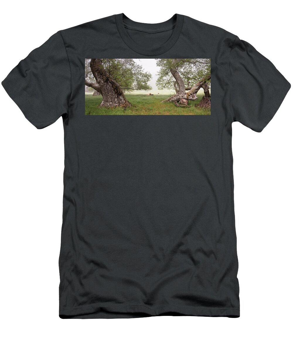 San Diego T-Shirt featuring the photograph Cows and Trees in the Fog at Julian by William Dunigan