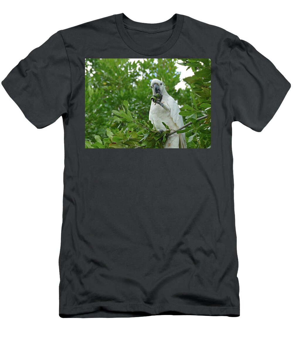 Birds T-Shirt featuring the photograph Cracking A Tough Nut by Maryse Jansen