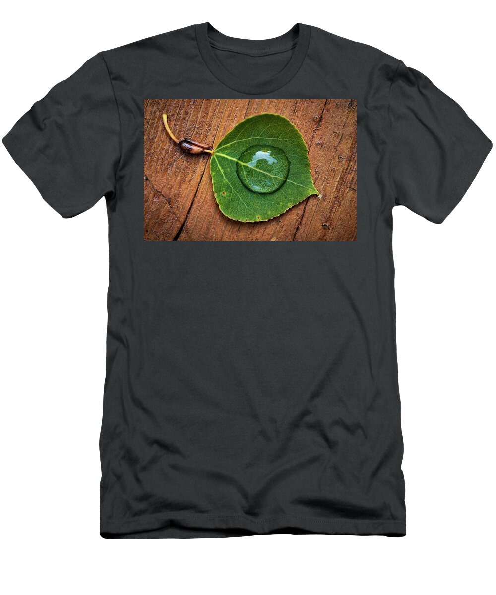 Leaves T-Shirt featuring the photograph Cradle by Doug Gibbons