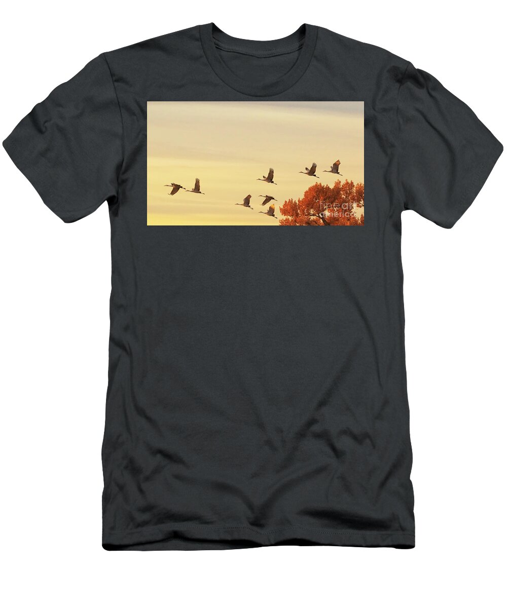 Crane T-Shirt featuring the photograph Cranes bidding farewell to the day by Ruth Jolly