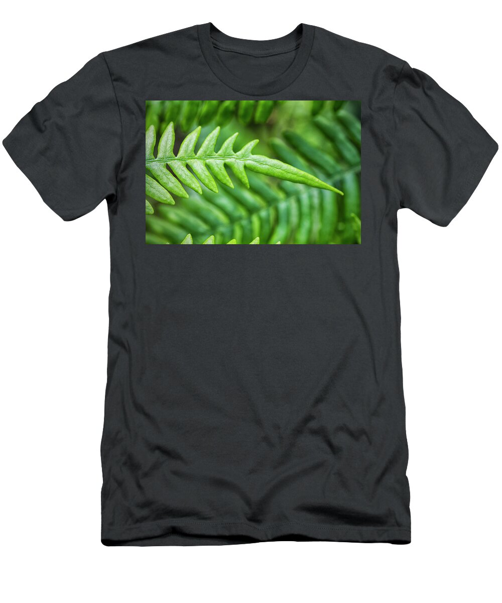Fern T-Shirt featuring the photograph Croatan Forest Fern in May by Bob Decker