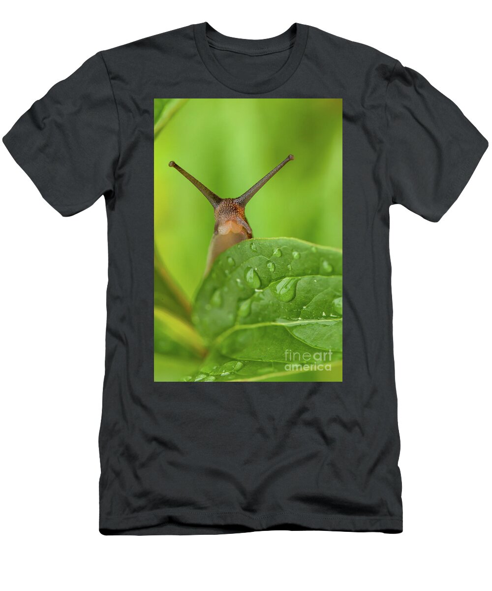 Garden T-Shirt featuring the photograph Cute garden snail long tentacles on leaf by Simon Bratt