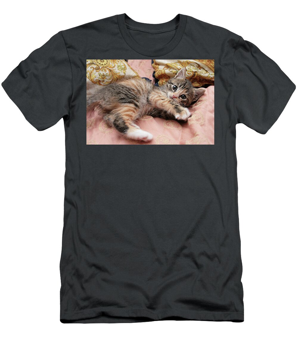 Pets T-Shirt featuring the photograph Cute Kitty 2 by Masha Batkova