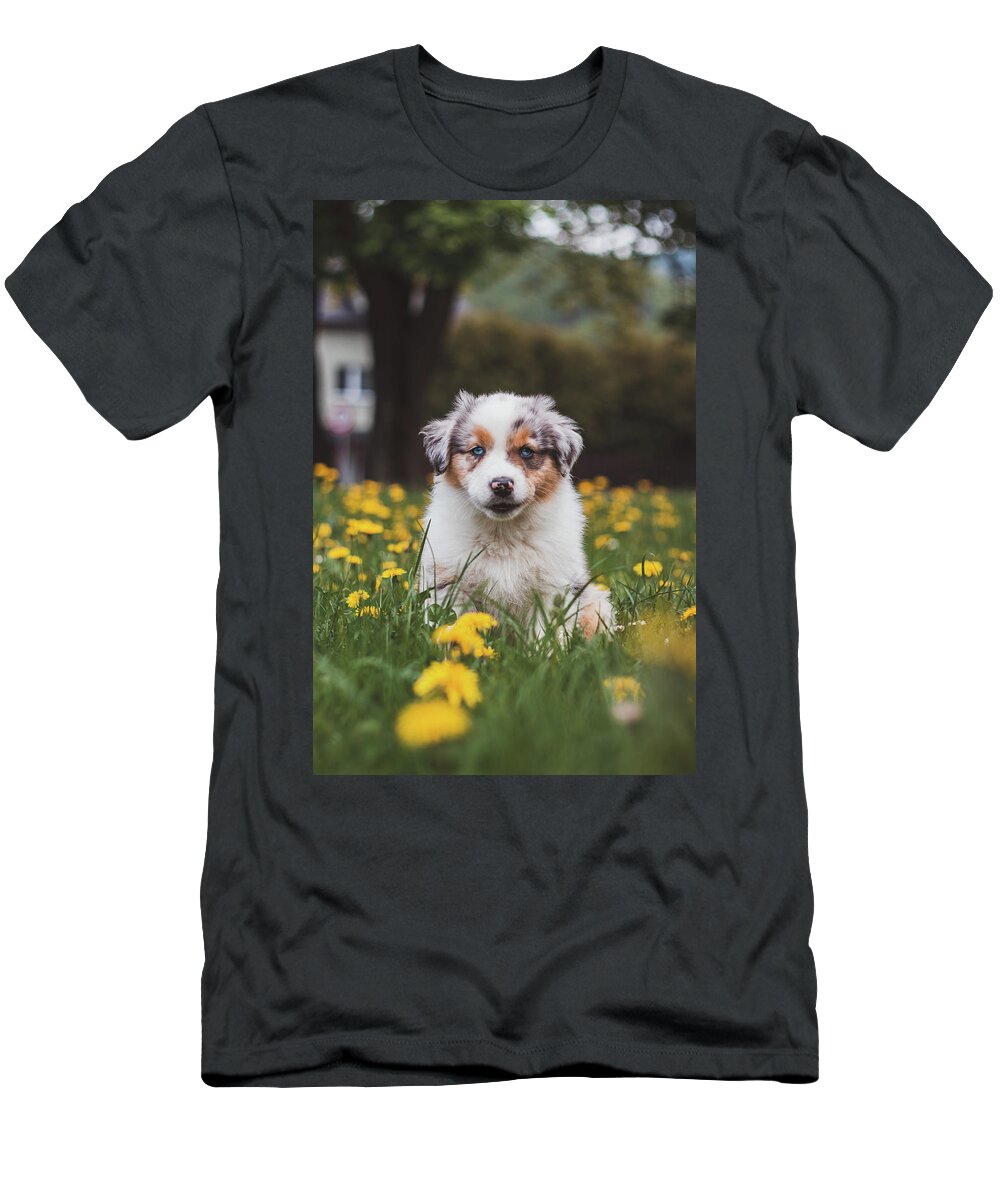 Blue Merle T-Shirt featuring the photograph Cutest puppy of the Canis lupus breed by Vaclav Sonnek