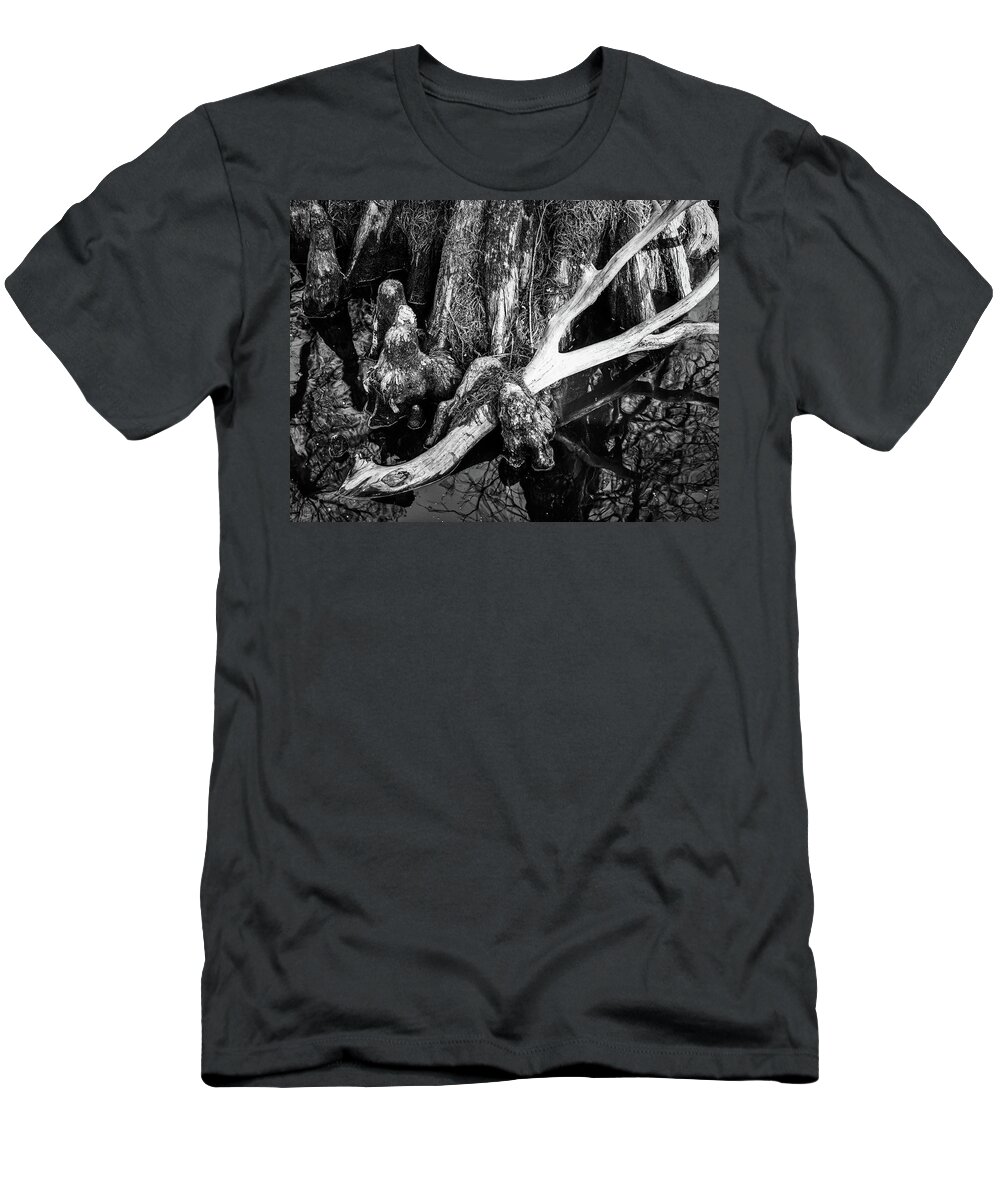 Cypress T-Shirt featuring the photograph Cypress Knees at Reelfoot Lake by James C Richardson
