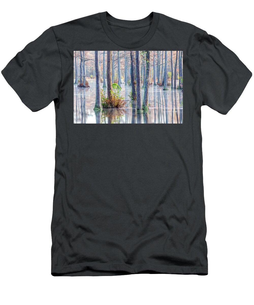 Cypress Trees T-Shirt featuring the photograph Cypress Trees 01 by Jim Dollar