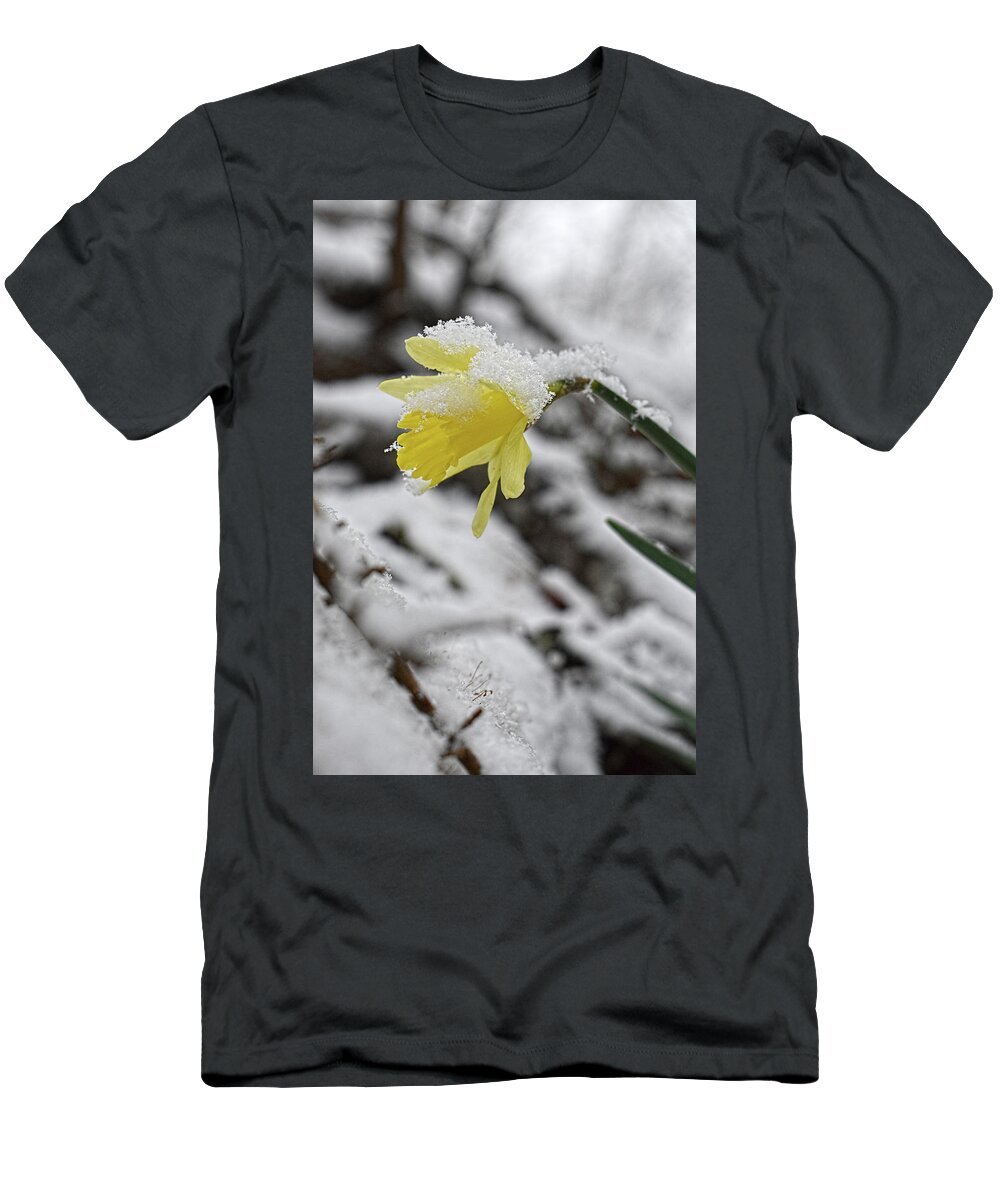 Daffodil T-Shirt featuring the photograph Daffodil in Winter by Jason Bohannon