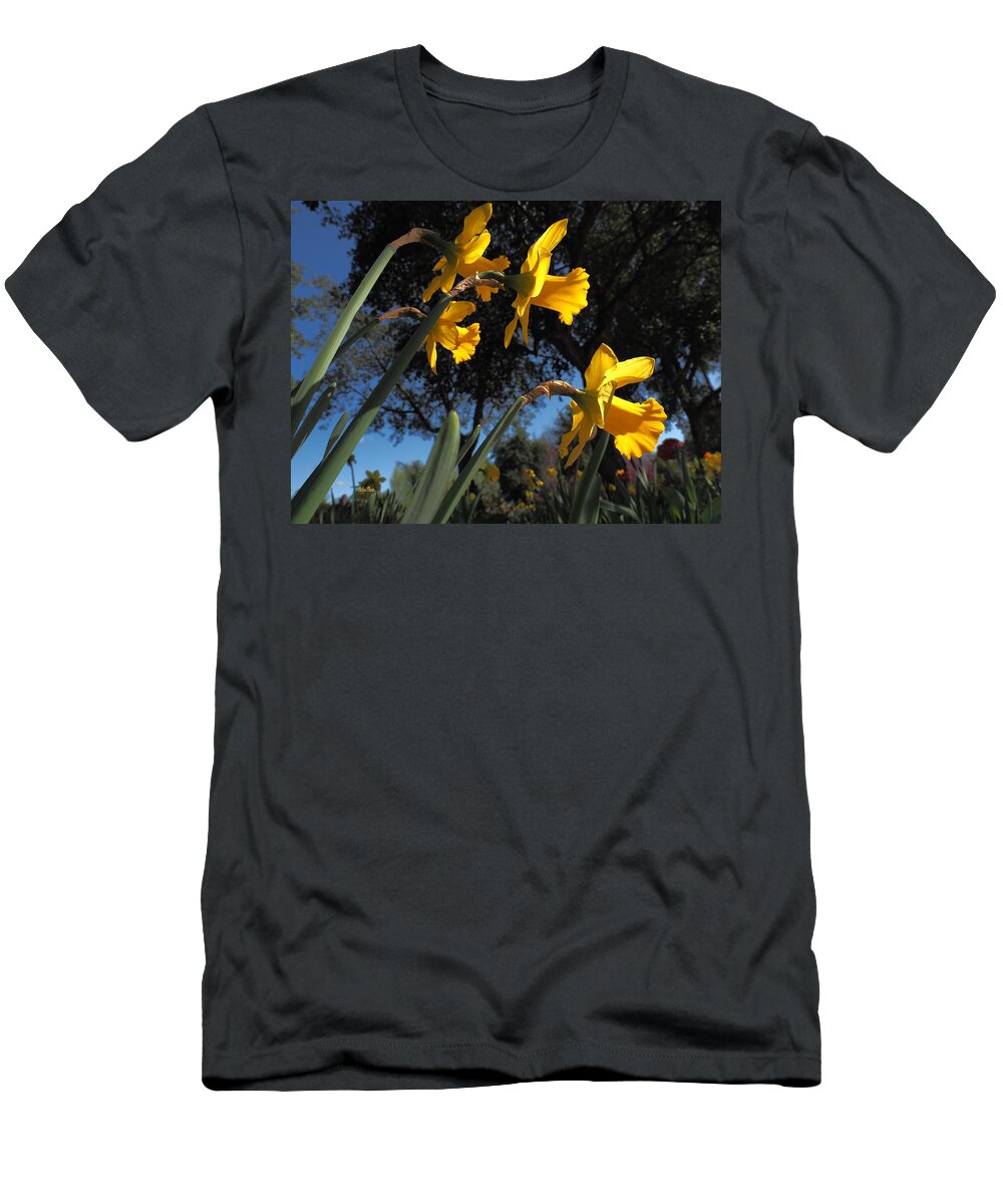  Spring T-Shirt featuring the photograph Daffodil Yellow by Richard Thomas