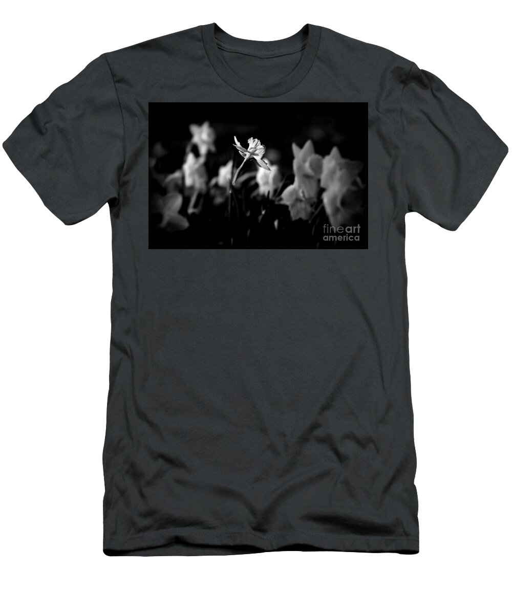 Midwest America T-Shirt featuring the photograph Daffodils in Black and White by Frank J Casella