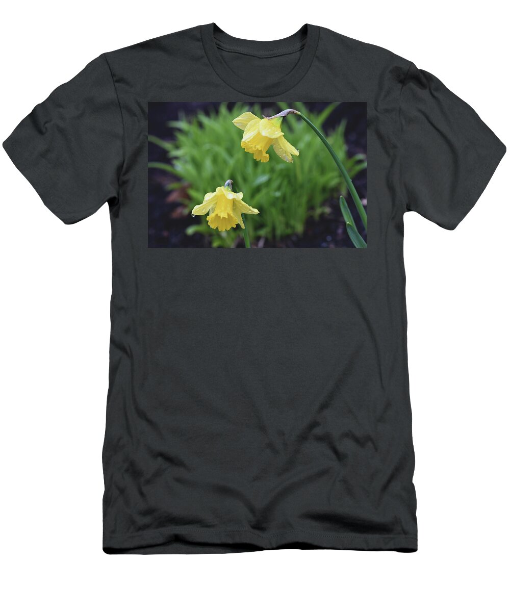 Daffodils T-Shirt featuring the photograph Daffodils by Jerry Cahill