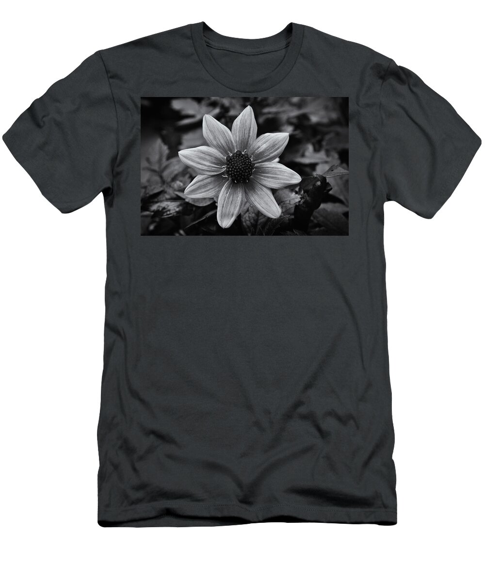 Dahlia T-Shirt featuring the photograph Dahlia Black And White by Jeff Townsend
